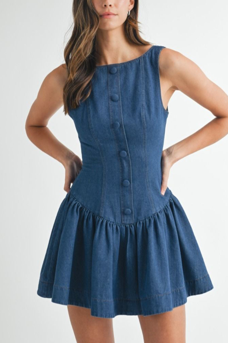 Daina Denim Dress