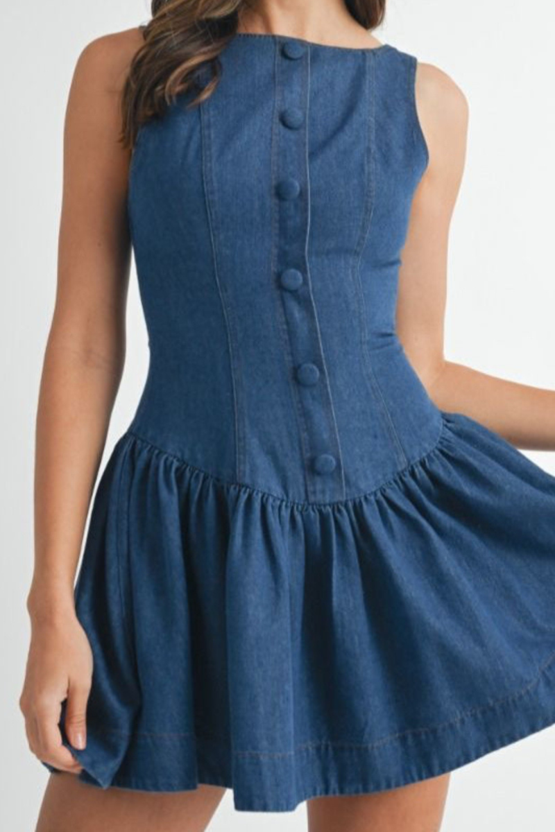 Daina Denim Dress