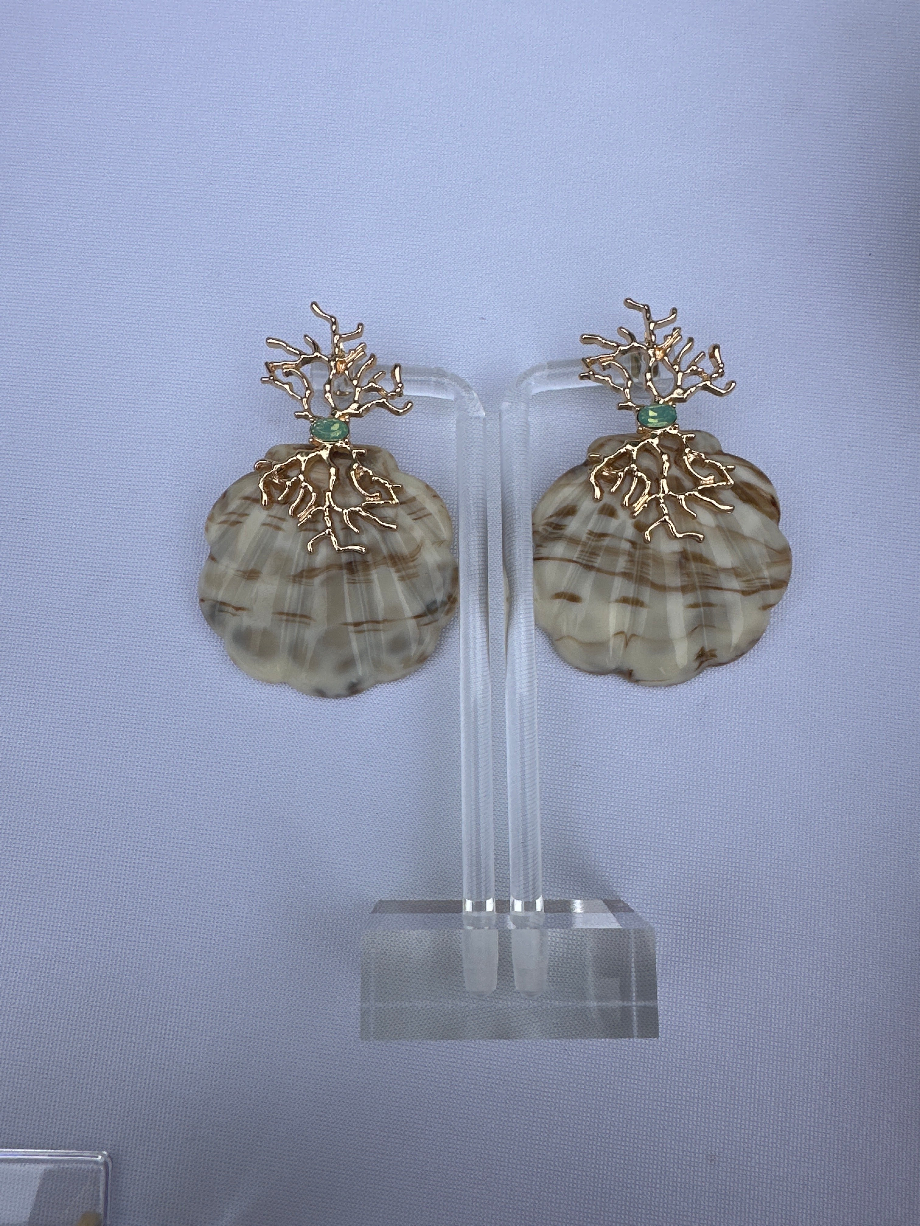 Shell earrings